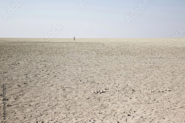 Obraz Salt Desert in Namibia, Africa