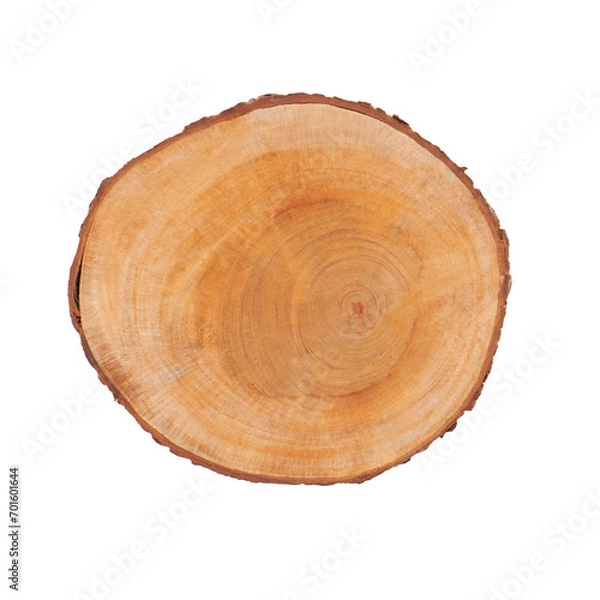 Fototapeta tree trunk wooden cutting board in white isolation transparent background