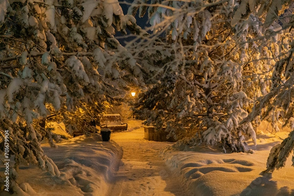 Obraz winter in the park