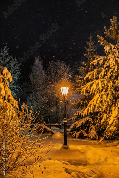 Obraz street lamp in winter night