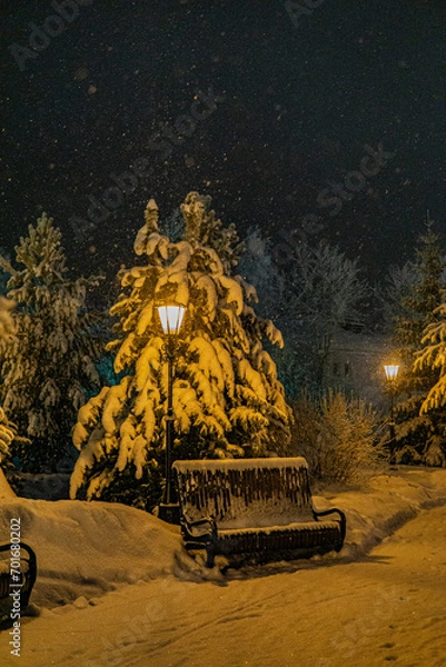 Obraz park in winter