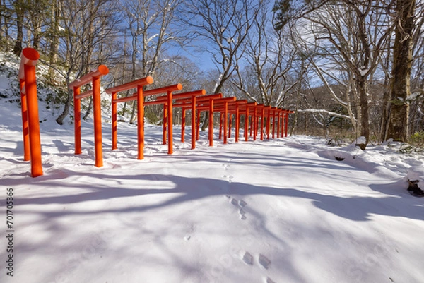 Obraz 戸隠の天命稲荷