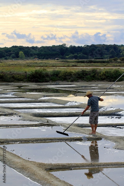 Fototapeta Saliculteur dans les marais