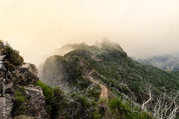 Fototapeta Trail to nowhere