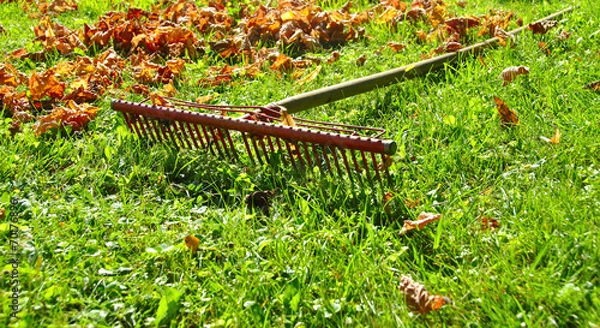 Fototapeta Râteau automnal