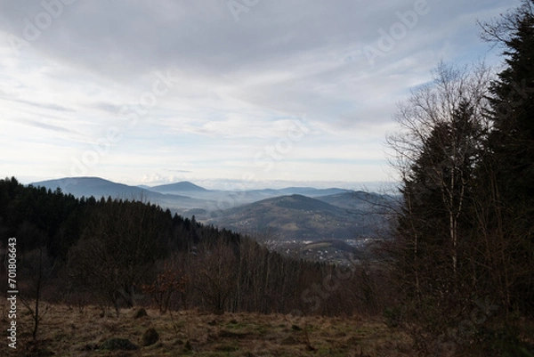 Obraz Góry w Beskidzie Wyspowym okolice Limanowej,