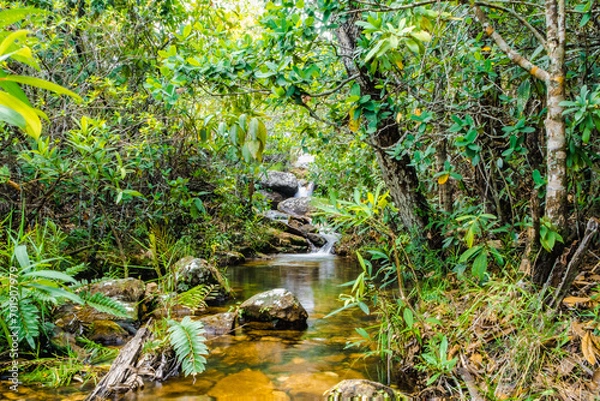 Obraz Chapada dos Veadeiros