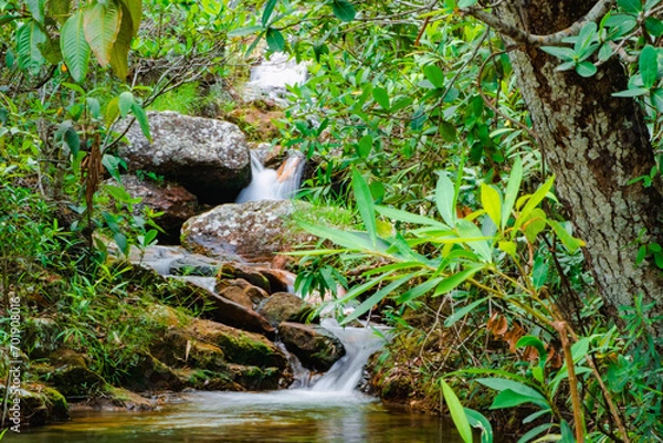 Obraz Chapada dos Veadeiros