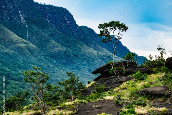 Obraz Chapada dos Veadeiros