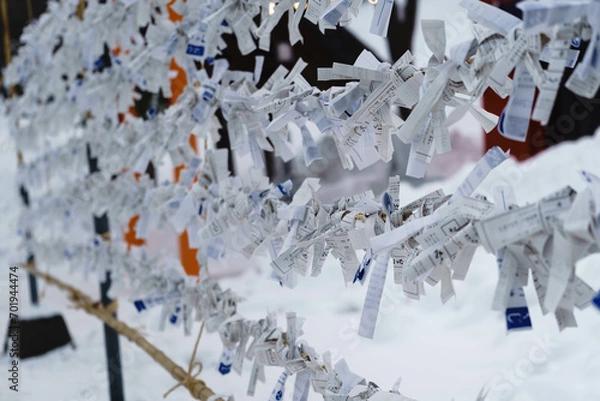 Fototapeta 日本の神社　初詣のおみくじ