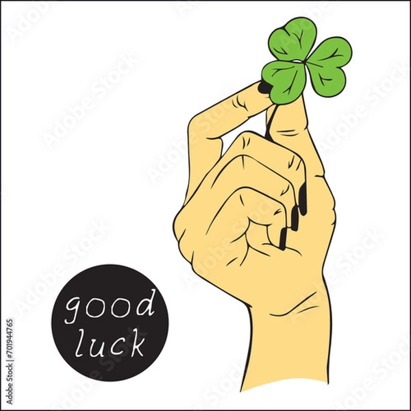 Obraz Female holding beautiful green four-leaf clover, close-up. Have  good day. Turn green. hand holds a clover leaf for good luck. botanical elements. isolated.