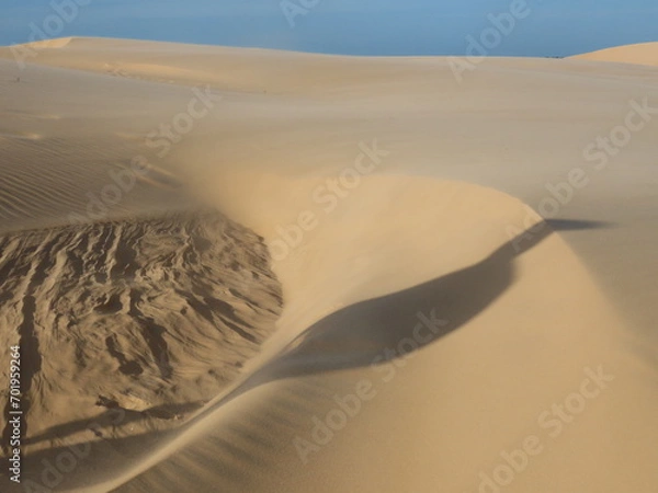 Fototapeta sand dunes in park