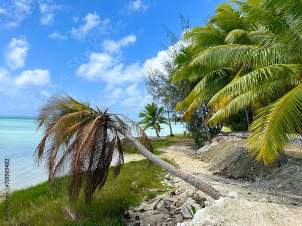 Fototapeta cook islands