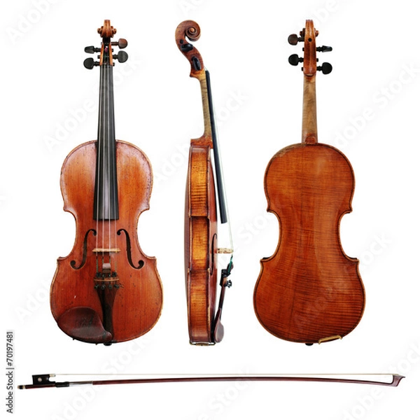 Obraz Violin and bow on white background