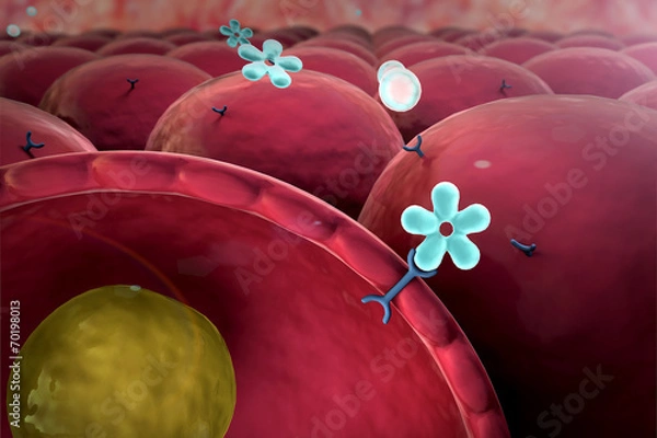 Fototapeta insulin, cell