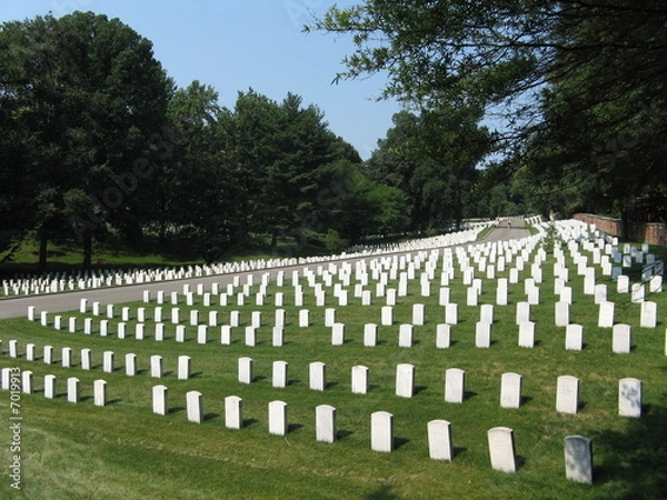 Fototapeta Cmentarz Narodowy w Arlington, Waszyngton