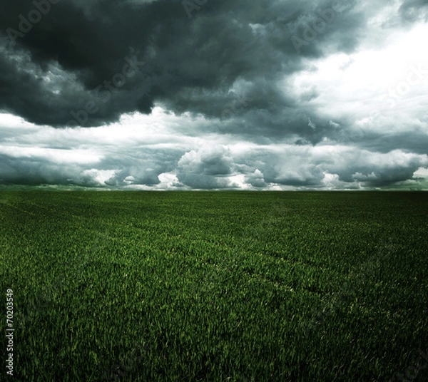 Fototapeta Storm dark clouds over field with grass