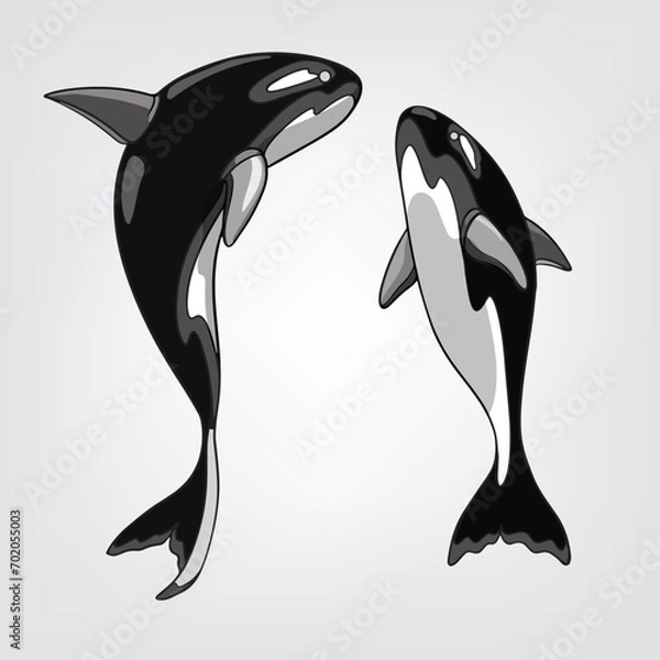 Obraz Vector illustration of isolated cartoon orcas