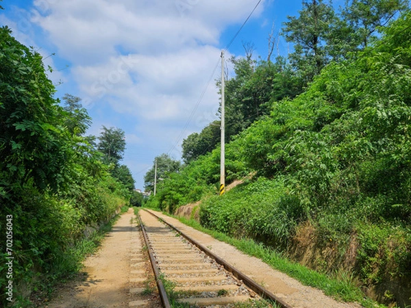 Fototapeta 철길 산책로