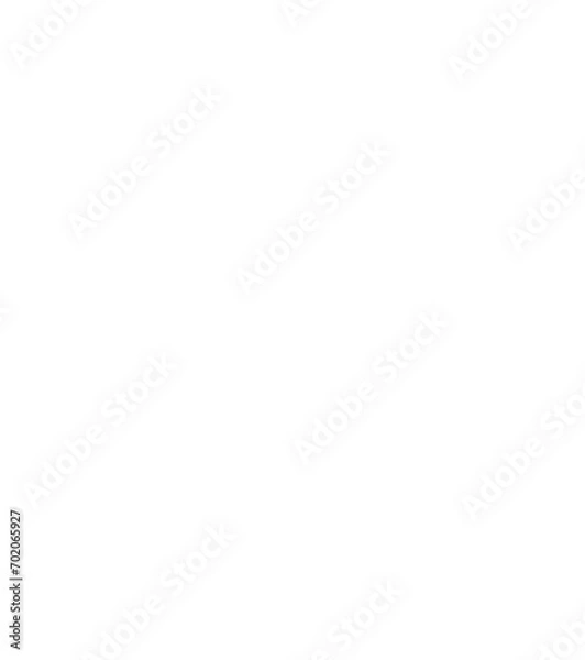 Fototapeta white  Snowflake vector