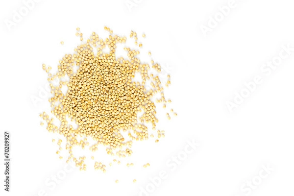 Obraz millet grain isolated on white background