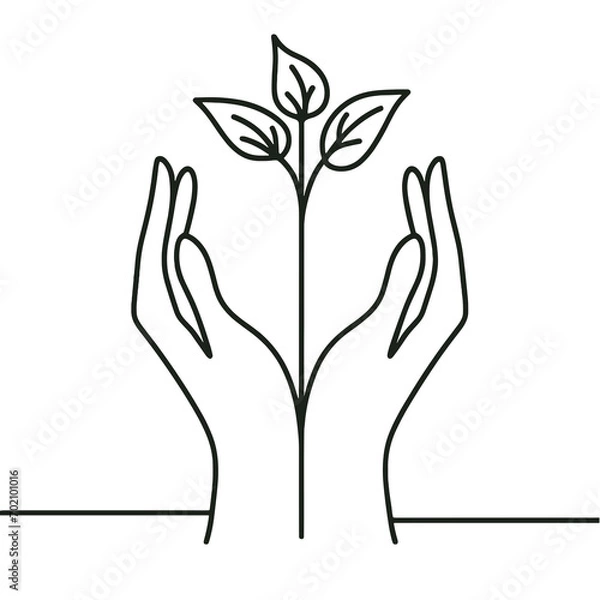 Fototapeta The continuous contour of the hands holding the sprout