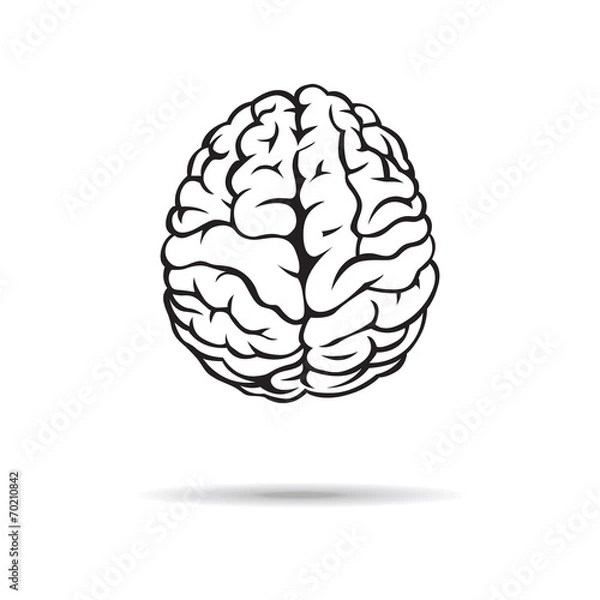 Fototapeta Brain icon. On the white background. Vector illustration.