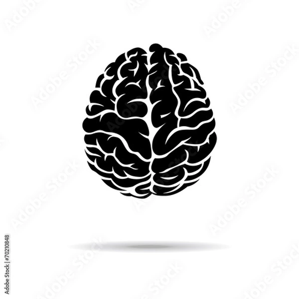 Fototapeta Brain icon. On the white background. Vector illustration.