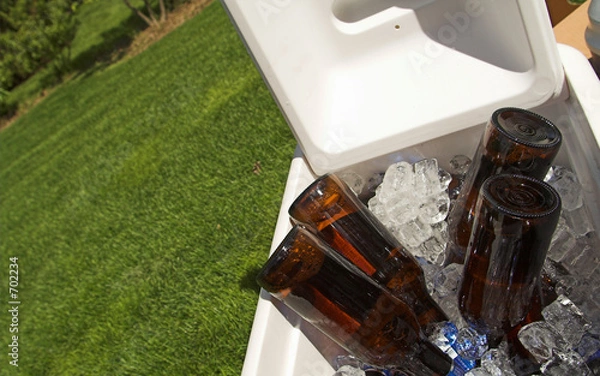 Obraz bottles in cooler