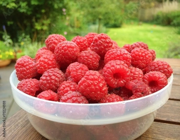 Obraz Raspberries