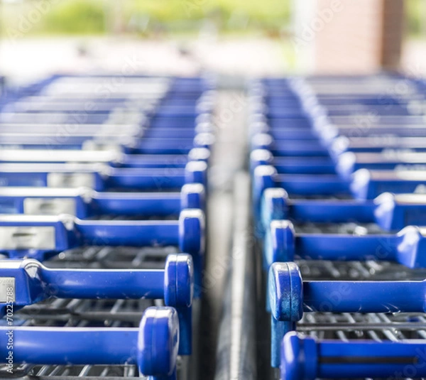 Obraz Einkaufswagen 06647