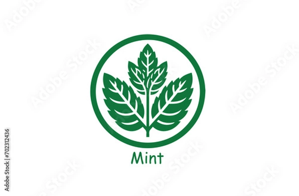 Obraz Fresh Mint Leaf Vector Illustration Icon