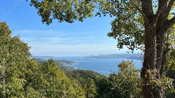 Fototapeta Blick auf den Bodensee