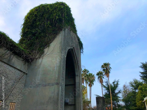 Obraz 門に弦のあるヤシの木が見る曇り空