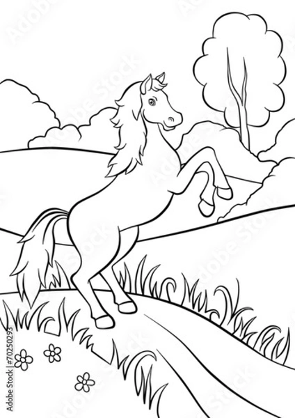 Fototapeta Horse standing on the road in field