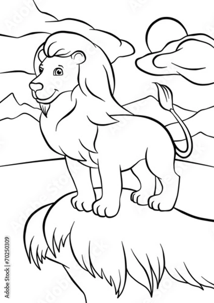 Obraz Lion stands on the rock