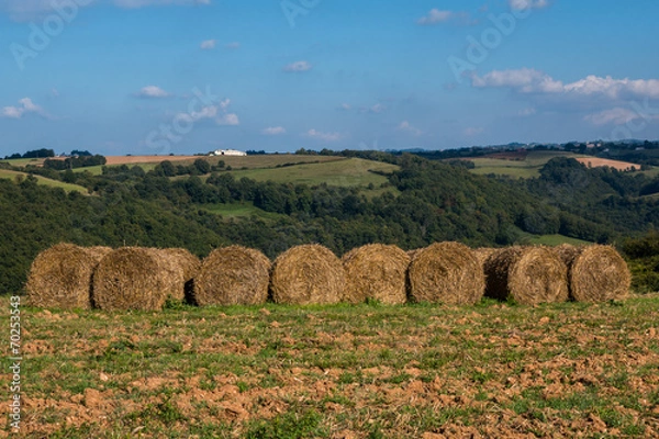 Obraz Paysage de campagne