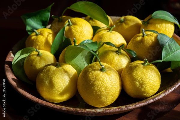 Obraz ゆずの収穫