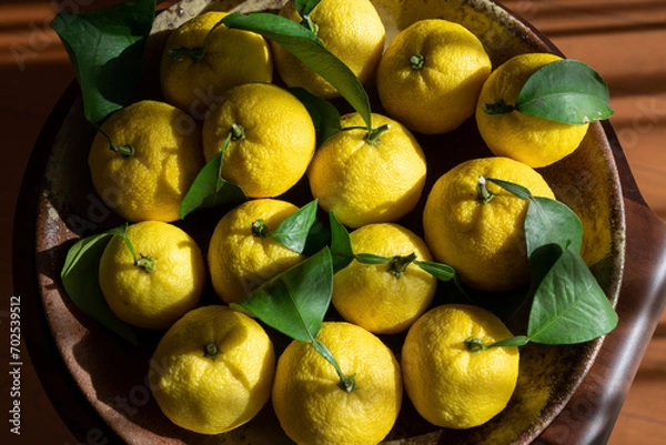 Obraz ゆずの収穫