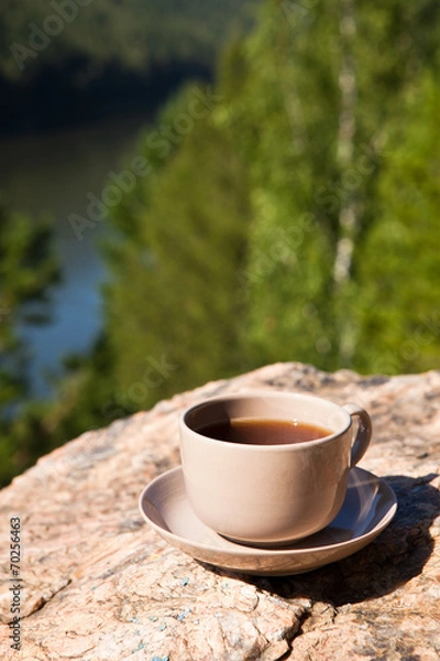 Fototapeta Cup on big stone over nature background