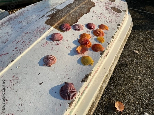 Obraz いろんな海の顔