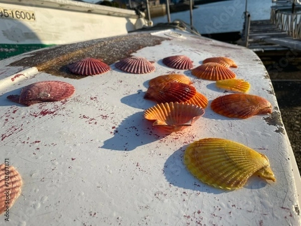 Obraz いろんな海の顔