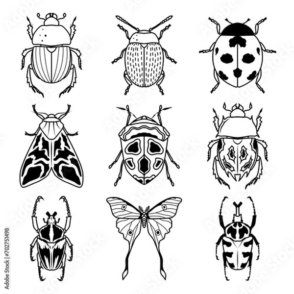 Fototapeta Set of insects. Vector icons. Isolated on white.