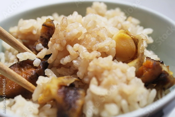 Obraz サザエ御飯