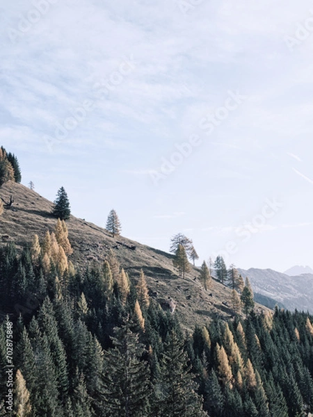 Fototapeta Herbstfarben