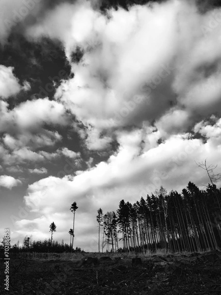 Fototapeta Windschäden