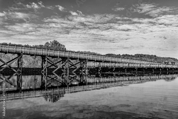 Obraz Rail trail bridge reflection BW
