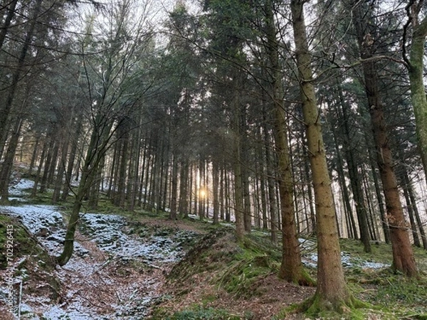 Fototapeta sundowner