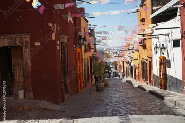 Obraz coconuts on palm tree