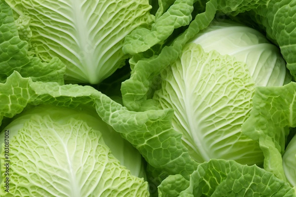 Fototapeta green cabbage background wall texture pattern seamless